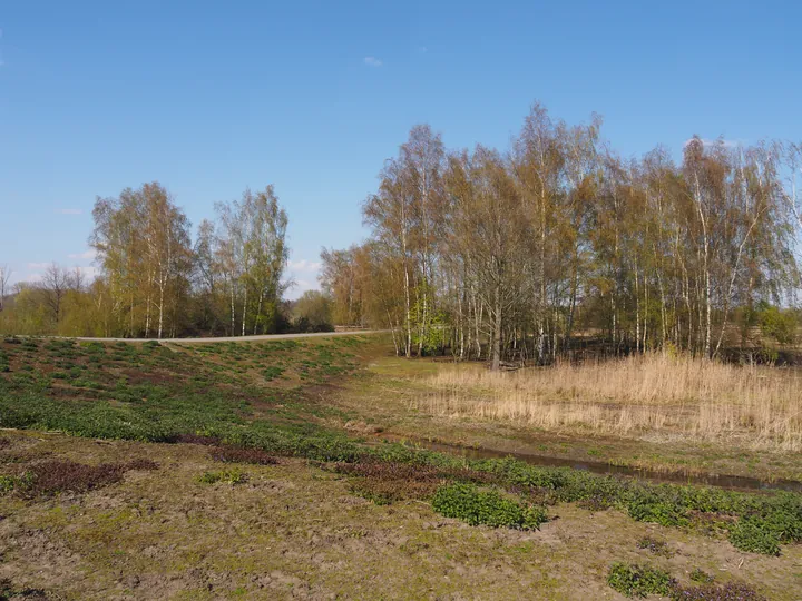 Kalkense Meersen (België)